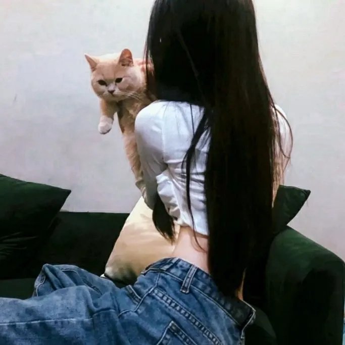 金蝴蝶梦