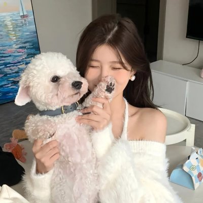 古墓入侵者